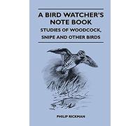 A Bird Watcher's Note Book - Studies Of Woodcock, Snipe And Other Birds