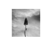 A Black Mile To The Surface CD