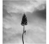 Manchester Orchestra – A Black Mile To The Surface – CD