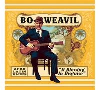 A Blessing In Disguise CD