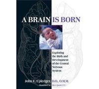A Brain Is Born: Exploring the Birth and Development of the Central Nervous System - [Livre en VO] John E Upledger (Auteur)