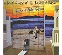 A Brief Glimpse Of The Relentless Pursuit