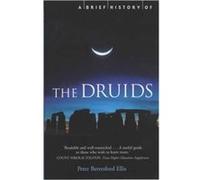 A Brief History of the Druids by Peter Ellis Ellis, Peter B (Auteur)