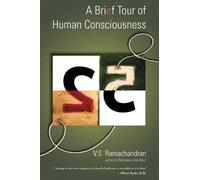 A Brief Tour Of Human Consciousness