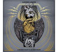 A Broken Heart in an Open Heart/180 G/INCL