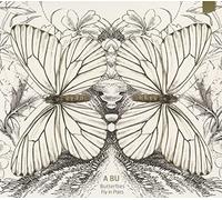 Butterflies Fly In Pairs