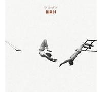 A Bunch of Birds - A Bunch of Birds