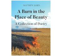 A Burn In The Place Of Beauty: A Collection Of Poetry