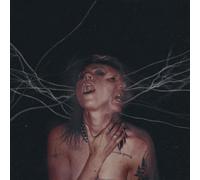 A Call To The Void CD