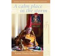 A Calm Place in the Storm: Buddhist Teachings on Finding Wisdom and Compassion