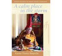 A Calm Place in the Storm: Buddhist Teachings on Finding Wisdom and Compassion