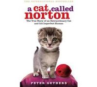 A Cat Called Norton by Peter Gethers Paperback Book Gethers, Peter (Auteur)