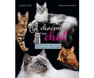 A chacun son chat Hugues-Charles Dubois (Auteur)