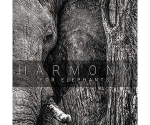 A Charity Album