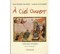 A Ciel Ouvert - Album Pour Les Enfants, 28 Images En Couleur Et 28 Dessins À Colorier, En Complément Du Livre A Ciel Ouvert, Catéchèses D'evangile