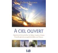 A ciel ouvert: Apparitions de la rue du Bac, La Salette, Lourdes et Fatima : nouvelle approche au regard de la Bible et de l'Histoire