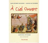 A ciel ouvert catéchèse d’évangile Catéchèses d'Evangile - Catherine de Salaberry - Salvator - broché - Essai