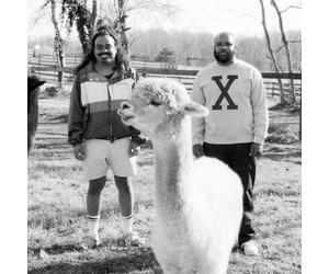 A City Drowned in God S Black Tears