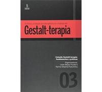 A Clínica, A Relação Psicoterapêutica E O Manejo Em Gestalt-Terapia Lilian Meyer Frazão (Auteur)