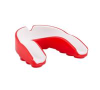 A Cloistered Life: The Venerable Mother Mary Veronica, Poor Clare Colettine; With A History Of The Two Communities Founded By Her At Clev