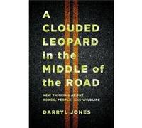 A Clouded Leopard in the Middle of the Road by Darryl Jones Darryl Jones (Auteur)