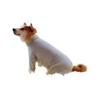 À col Montant, for Les Quatre Pattes, Polyvalents, élégants et Chauds for Les Chiens, adaptés à Une Utilisation à la Maison comme à l'extérieur.(Grey,M)