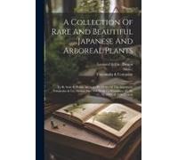 A Collection Of Rare And Beautiful Japanese And Arboreal Plants: To Be Sold At Public Auction: By Order Of The Importers, Yamanaka & Co., Boston And N