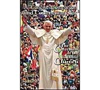A Concise Companion And Commentary For The Catechism Of The Catholic Church