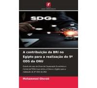 A Contribuição Da Bri No Egipto Para A Realização Do 9º Ods Da Onu