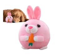 À Couiner Pour Chiens Boule Pour Chiot Qui Se Déplace Avec Couverture En