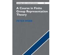 A Course In Finite Group Representation Theory