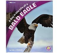 A Day In The Life Of A Bald Eagle