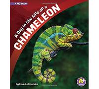 A Day In The Life Of A Chameleon