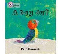 A Day Out by Petr Horacek Petr Horacek (Auteur)