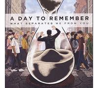 A Day To Remember - What Separates Me From You