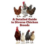 A Detailed Guide to Diverse Chicken Breeds