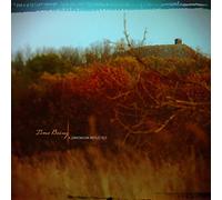 A Dimension Reflected