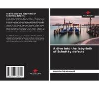 A Dive Into The Labyrinth Of Schottky Defects