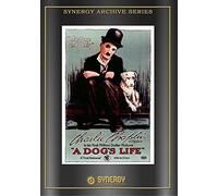A Dog's Life