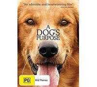 A Dogs Purpose | Lasse Hallstrm's | Dennis Quaid | NON-USA Format | PAL | Region 4 Import - Australia