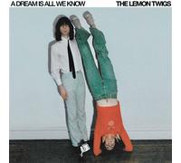 A Dream Is All We Know Vinyle Blanc Vinyle