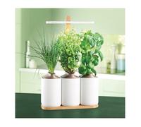 A faire pousser - Prêt À Pousser : Lilo Connect potager intérieur connecté