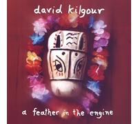 David Kilgour – A Feather in the Engine – Vinyle 33 tours remastérisé – Victrola
