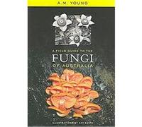 A Field Guide To The Fungi Of Australia Tony Young (Auteur)
