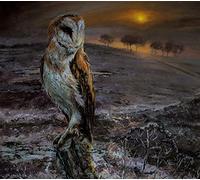 A Flock Named Murder - an Appointed Time [Import]