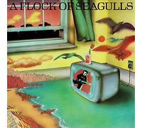 A Flock of Seagulls