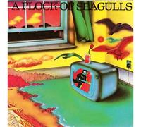 A flock of seagulls