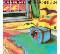 A Flock of Seagulls [Import allemand]