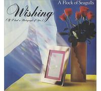 A Flock Of Seagulls Wishing (If I Had A Photograph Of You) 1982 UK 7" vinyl JIVE25