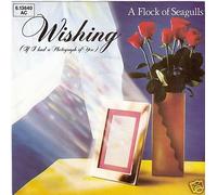 A FLOCK OF SEAGULLS - Wishing (If i had a photograph of you) Committed / 6.13640 AC